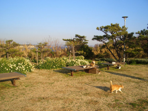 城ヶ島公園1