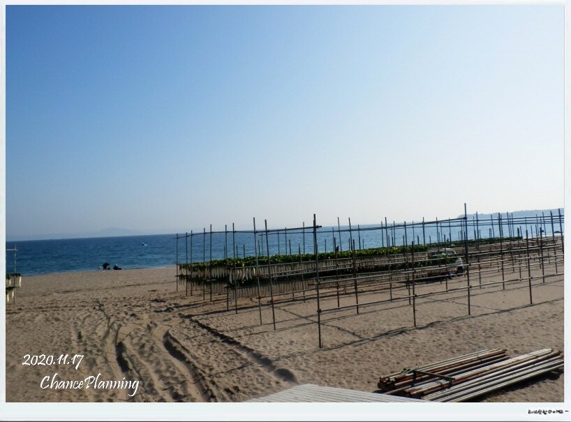 三浦の浅づけたくあん まいるど かながわブランド チャンスの輪 Byチャンス企画