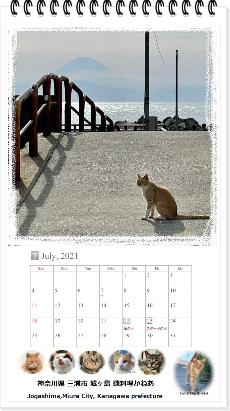 三崎まぐろと地魚と生しらす 城ヶ島 磯料理かねあ チャンスの輪 Byチャンス企画