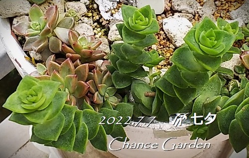 20220707-¡ù (22)