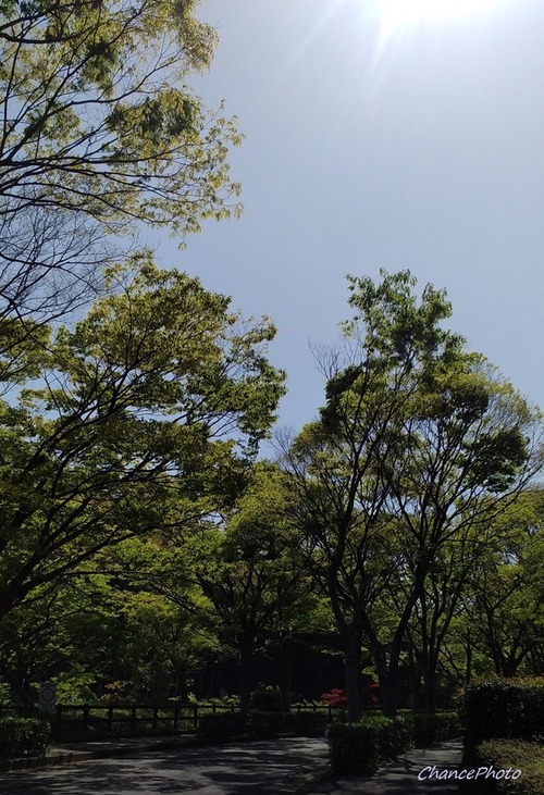 20250420YKB (2)