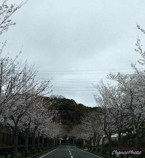 20250402-Is (1)