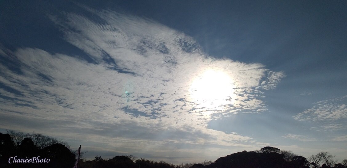 気まぐれ散歩でみあげた空に！「鳳凰雲・龍神雲」 : ∞ チャンスの輪