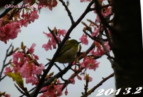 2013.2