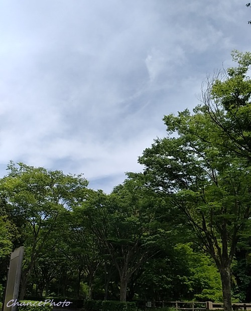 20260519-Ykb (1)