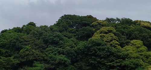 20240508 (5)b