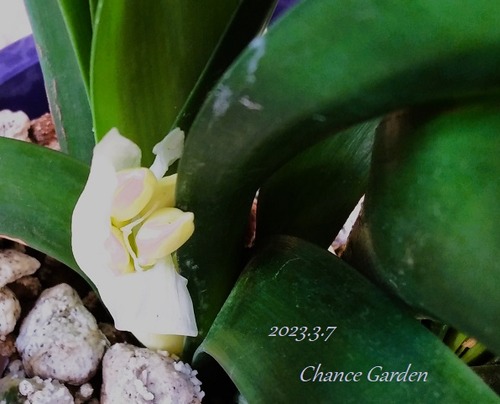 20230307CG- (2)