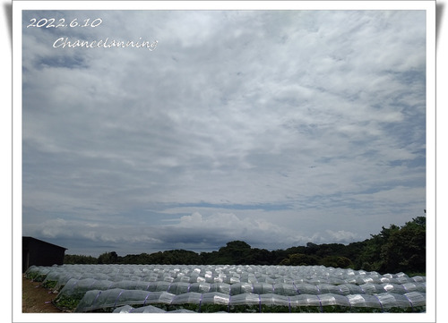 2022.6.10-Khs (6)