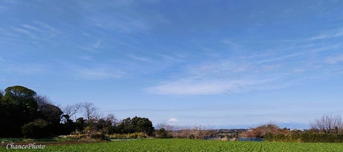 20240209-fuji (15)