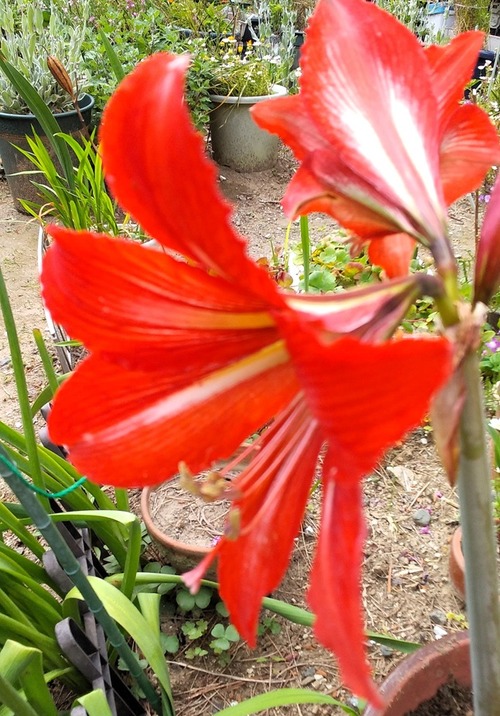 20260508DGG (1)