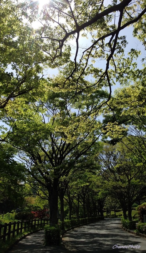 20250420YKB (4)
