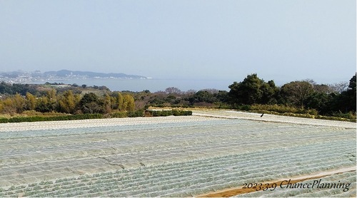 20230309Gs (6)