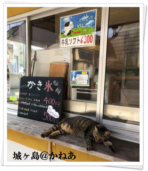 2018.8.16