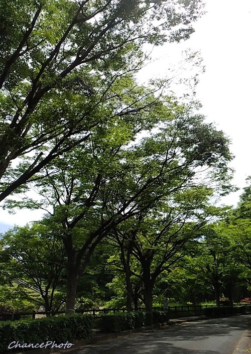 20260519-Ykb (2)