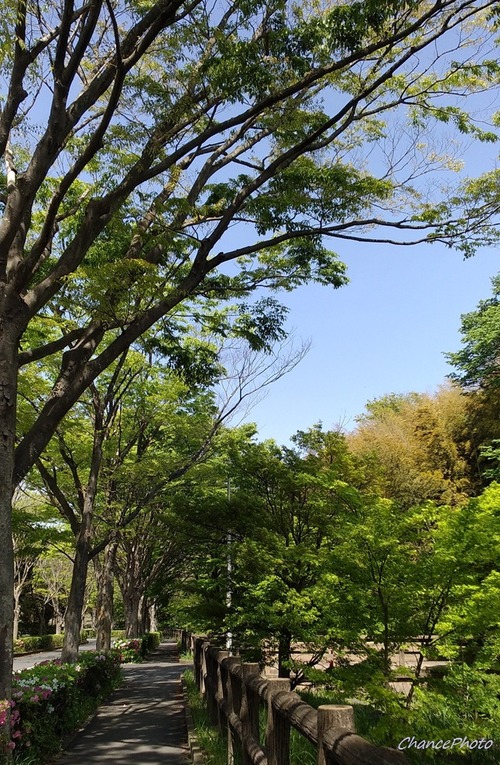 20250420YKB (3)