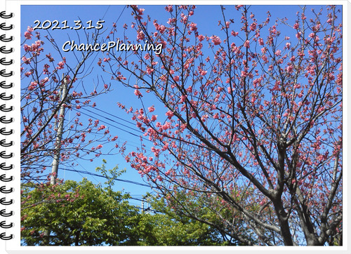 ÊÔ½¸_2021.3.15GG (13)