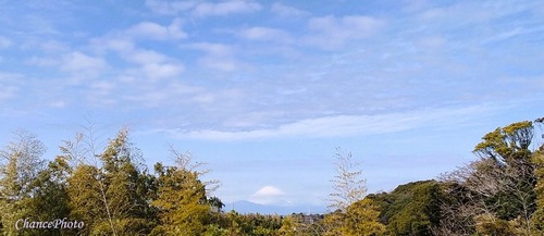 20240209-fuji (4)