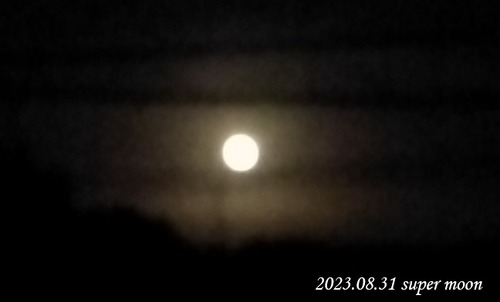 20230831-smoon (1)