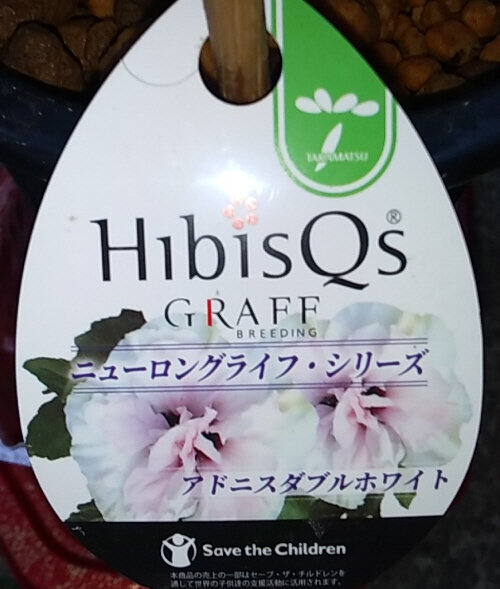 20260812HIB550 (6)