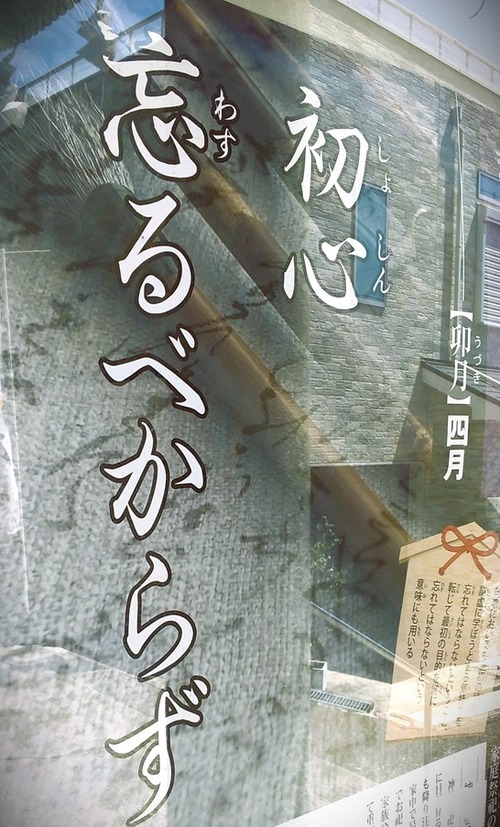 20240410-Kjt (8)