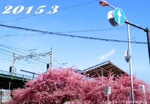 2015.3