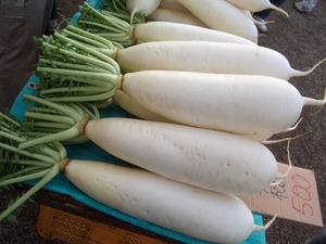 miuradaikon2