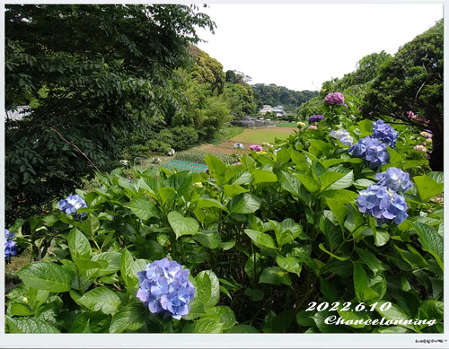2022.6.10-Khs (10)
