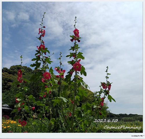 2022.6.10-Khs (13)