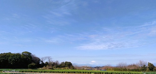 20240209-fuji (13)