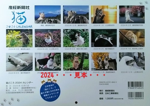 neko-2023ca (1)