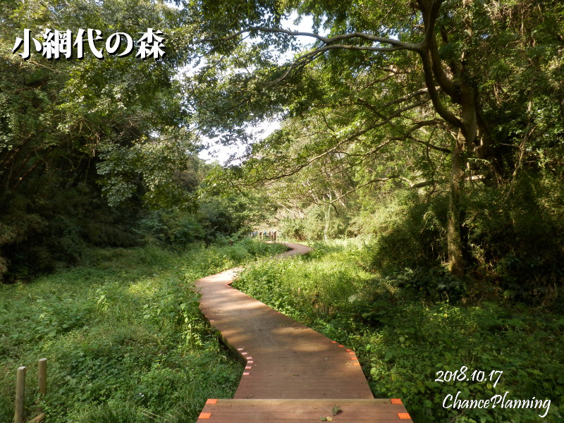 小網代の森 神奈川県三浦市 チャンスの輪 Byチャンス企画