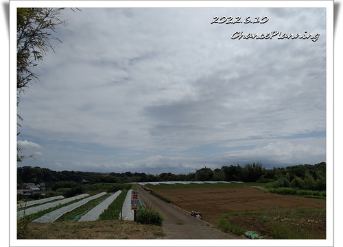 2022.6.10-Khs (7)