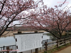 2011.2.20-¾®¾¾¥öÃÓ