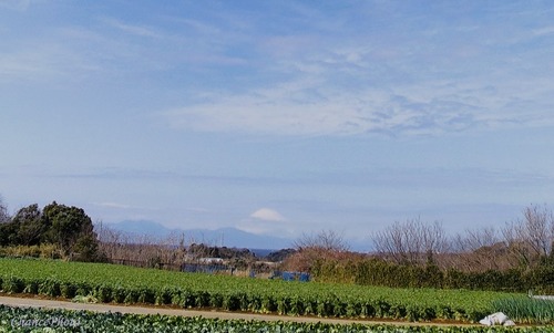 20240209-fuji (14)