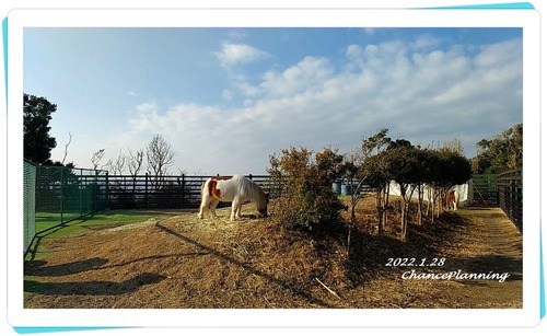 2022.1.28-abkpB66