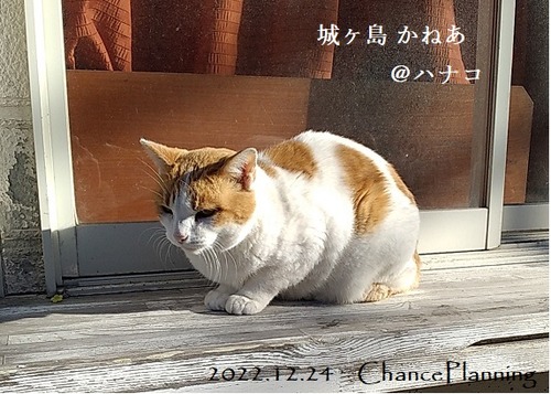 20221224jkanea (2)