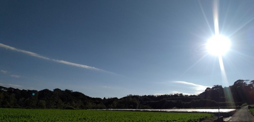 20241107KS (8)