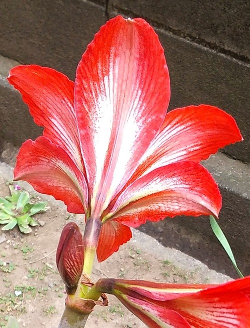 20260508DGG (2)