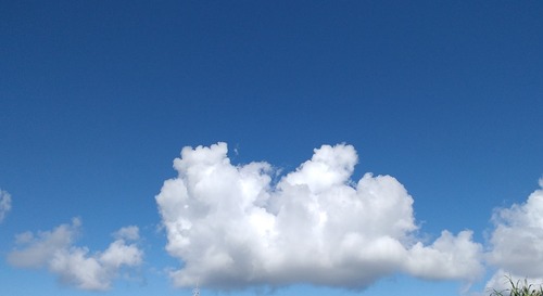 20230909-GS (8)