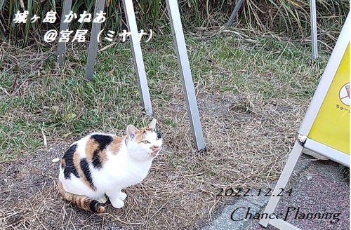 20221224jkanea (12)