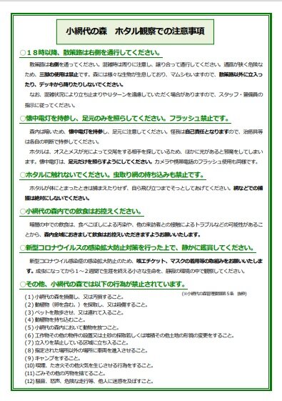 小網代の森 ホタル観察 のための夜間開放は終了しました 22年 神奈川県 チャンスの輪 Byチャンス企画