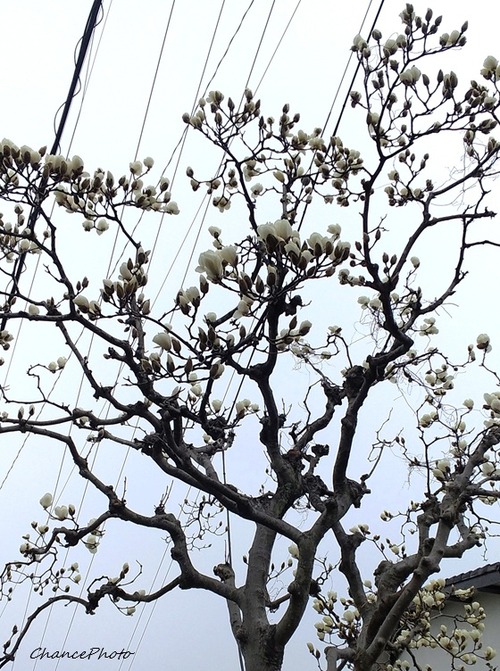 20260302DGS (1)