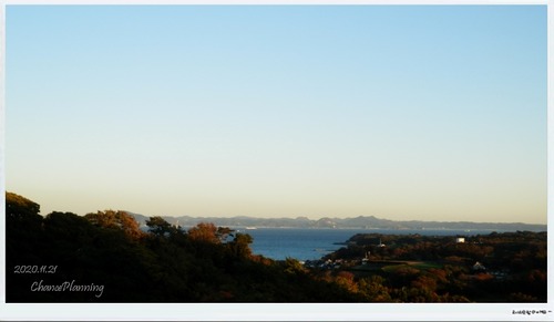 2020.11.21-sp (1)
