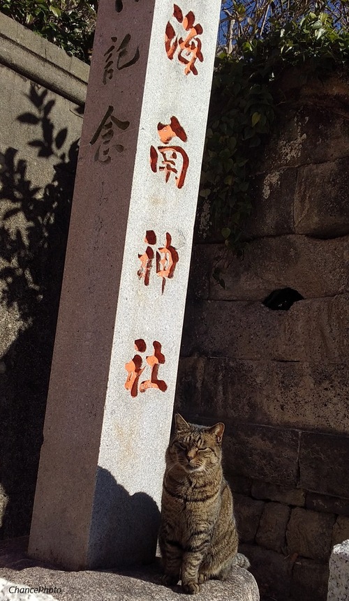 20250110-³¤Æî¿À¼ÒÊÛºâÅ· (18)