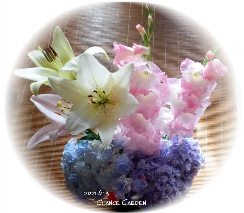 切り花の楽しみ方 その参 チャンスの輪 Byチャンス企画 切り花の楽しみ方 その参 チャンスの輪 Byチャンス企画