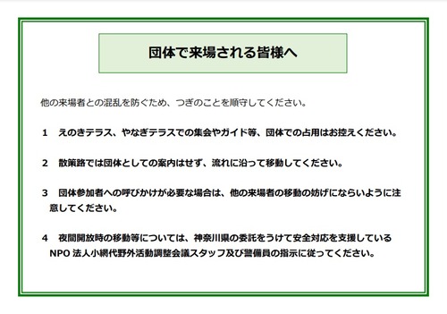 小網代の森 ホタル観察 のための夜間開放は終了しました 22年 神奈川県 チャンスの輪 Byチャンス企画