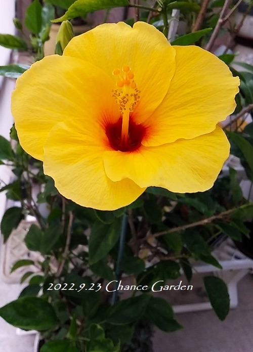 20220923CG (1)