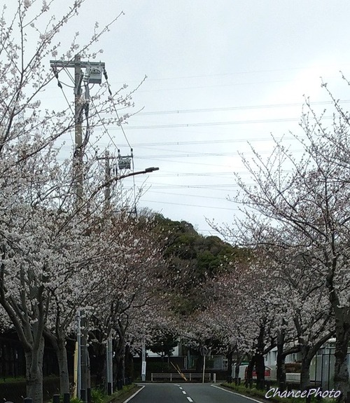 20250402-Is (2)