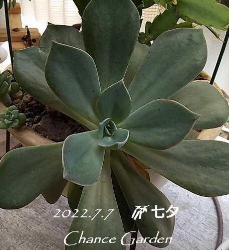 20220707-¡ù (7)