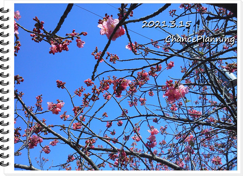 ÊÔ½¸_2021.3.15GG (1)